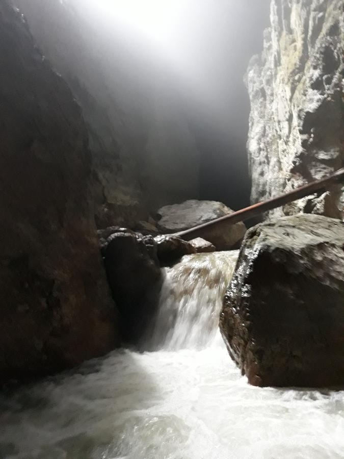 Pensiunea Piatra Graitoare Vartop Exteriör bild